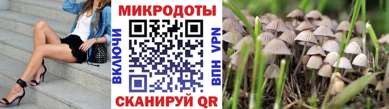 Галлюциногенные грибы GOLDEN TEACHER  Анадырь 