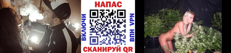 дарк нет какой сайт  хочу наркоту  Анадырь  Бошки марихуана SATIVA & INDICA 